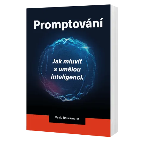 Kniha: Promptování – jak mluvit s AI